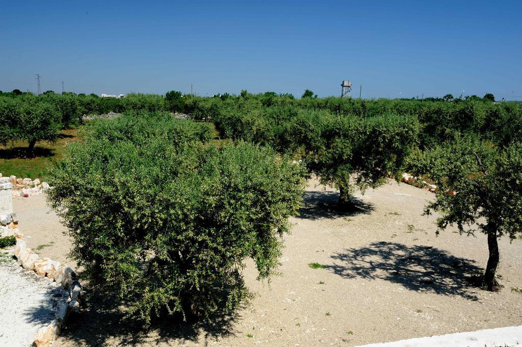 Agriturismo Arco Di Sole Vila Alberobello Exterior foto