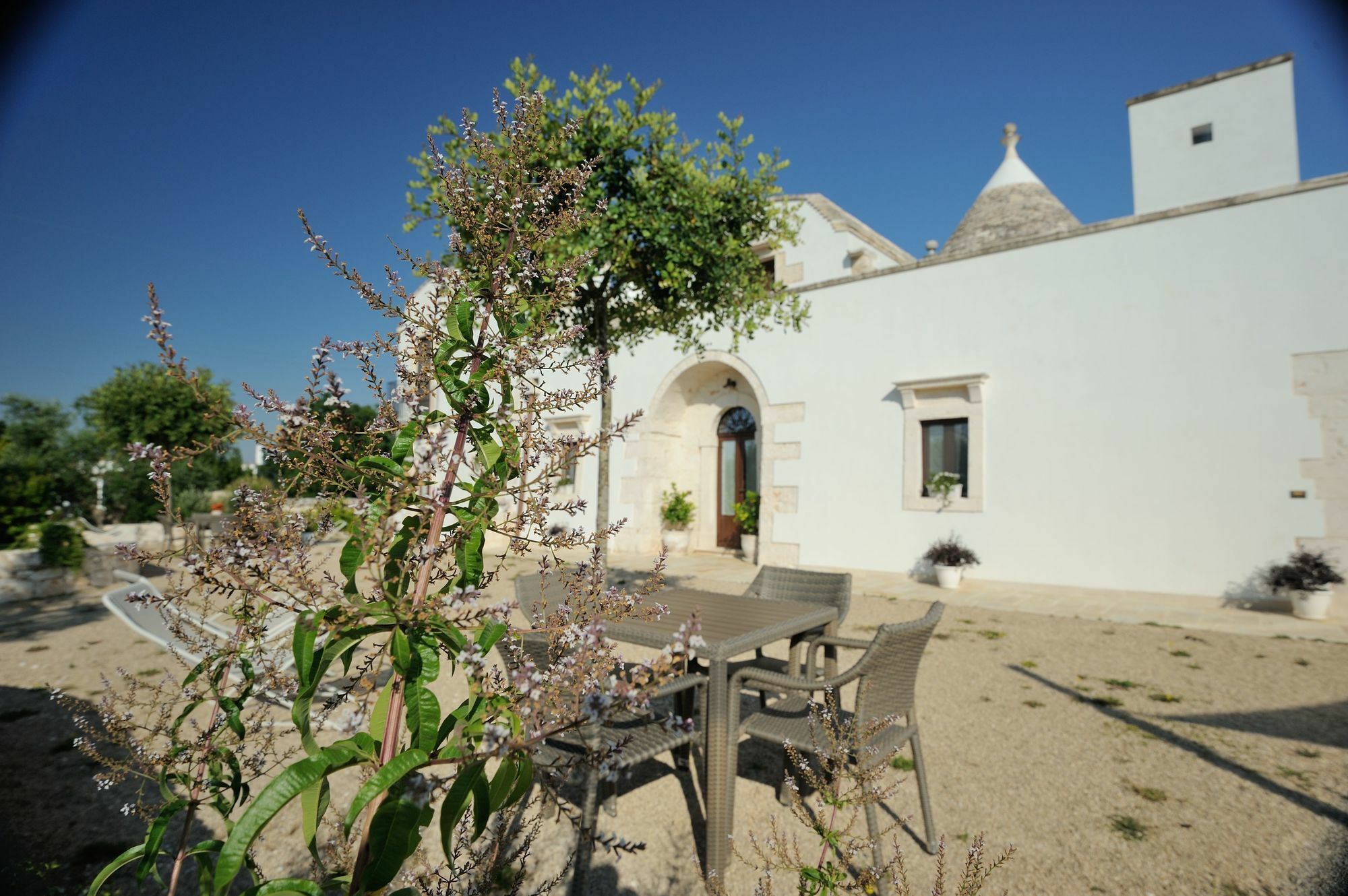 Agriturismo Arco Di Sole Vila Alberobello Exterior foto