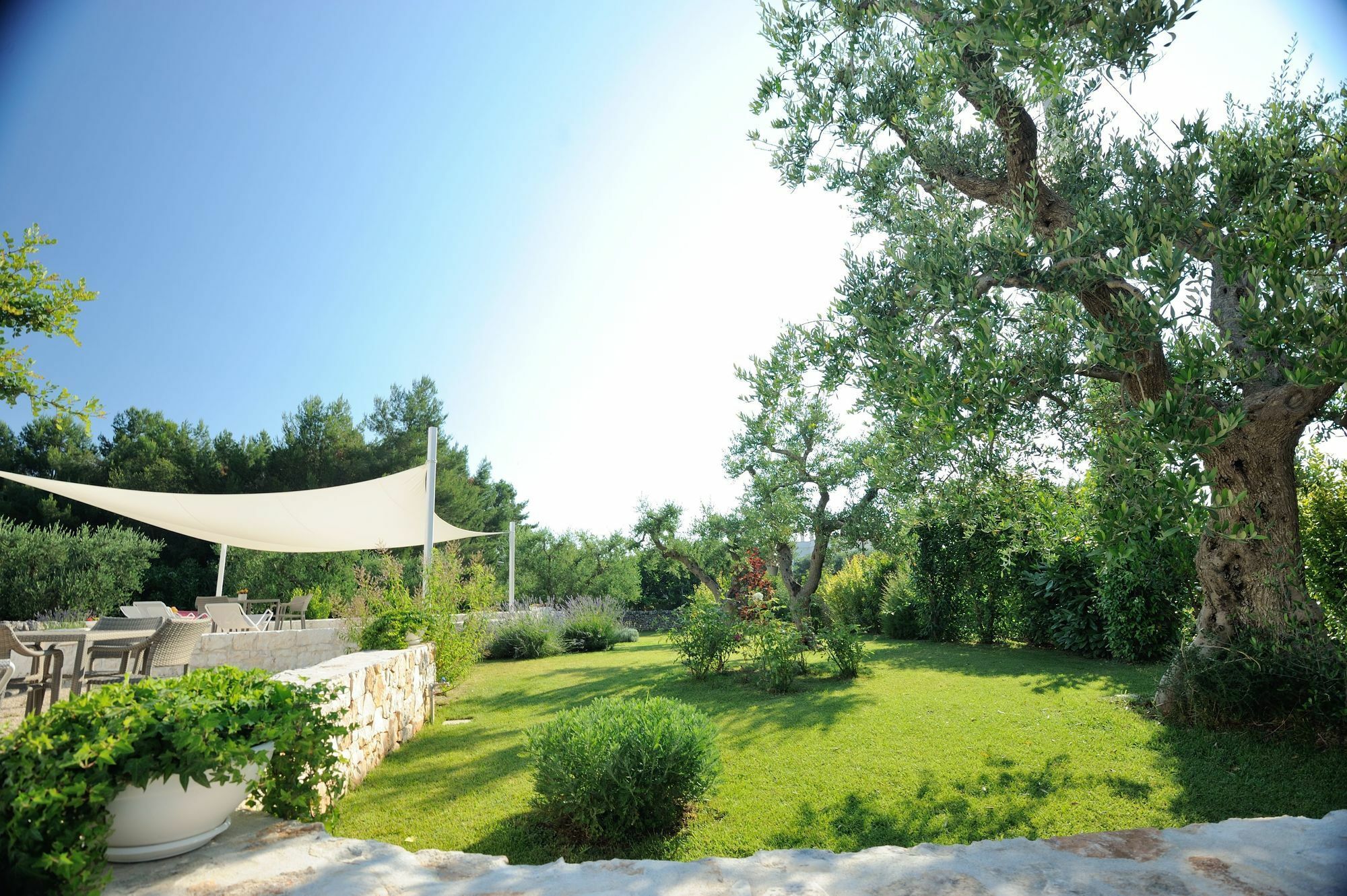 Agriturismo Arco Di Sole Vila Alberobello Exterior foto